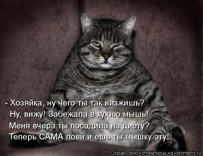 - Хозяйка, ну чего ты так визжишь? Ну, вижу! Забежала в кухню мышь! Меня вчера ты посадила на диету? ... Котоматрица: - Хозяйка, ну чего ты так визжишь? Ну, вижу! Забежала в кухню мышь! Меня вчера ты посадила на диету? Теперь САМА лови и ешь ты мышку эту!