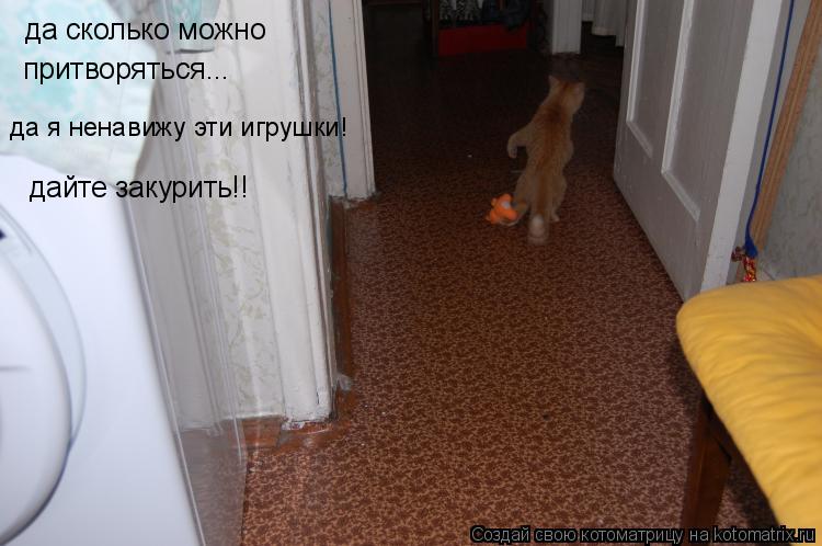 да сколько можно притворяться... да я ненавижу эти игрушки! дайте закурить!!... Котоматрица: да сколько можно притворяться... да я ненавижу эти игрушки! дайте закурить!!