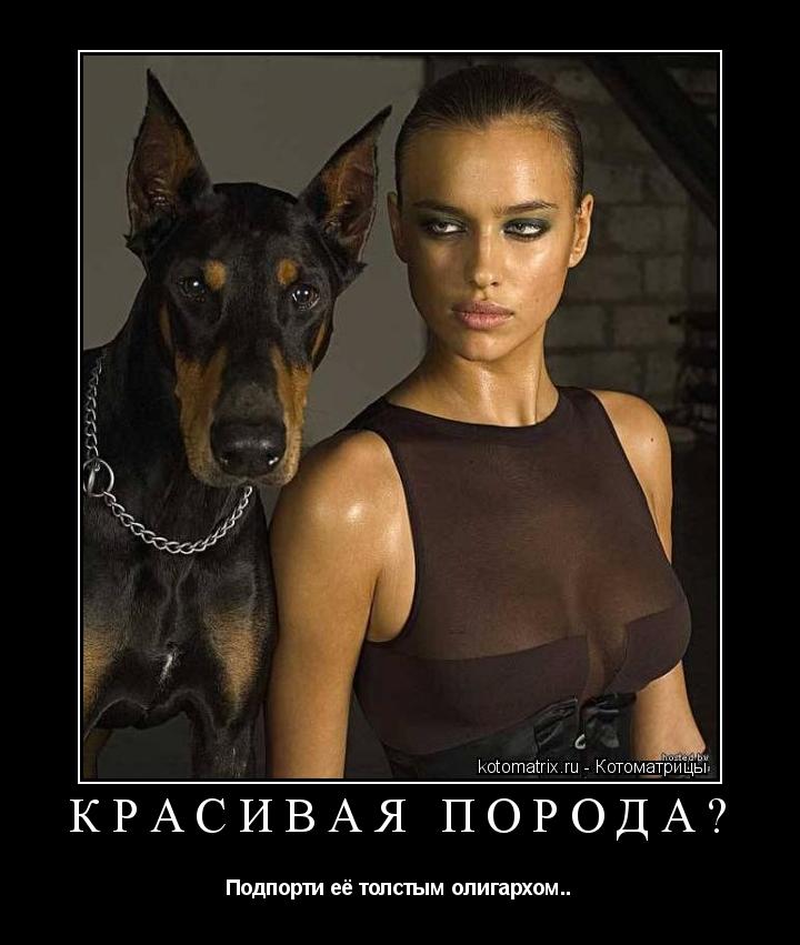 Красивая порода? Подпорти её толстым олигархом..... Котоматрица: Красивая порода? Подпорти её толстым олигархом..