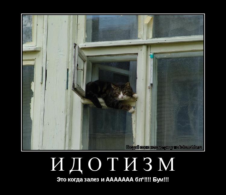 Идотизм Это когда залез и ААААААА бл*!!!! Бум!!!... Котоматрица: Идотизм Это когда залез и ААААААА бл*!!!! Бум!!!