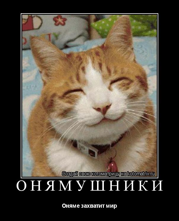 Онямушники Оняме захватит мир... Котоматрица: Онямушники Оняме захватит мир