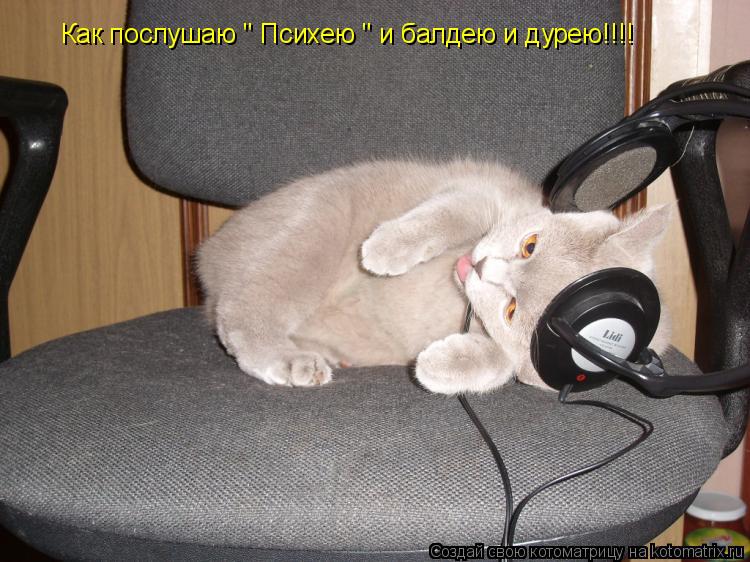 Как послушаю " Психею " и балдею и дурею!!!!... Котоматрица: Как послушаю " Психею " и балдею и дурею!!!!