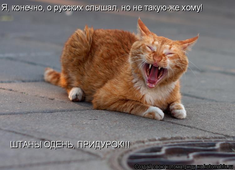Я, конечно, о русских слышал, но не такую-же хому! ШТАНЫ ОДЕНЬ, ПРИДУРОК!!!... Котоматрица: Я, конечно, о русских слышал, но не такую-же хому! ШТАНЫ ОДЕНЬ, ПРИДУРОК!!!
