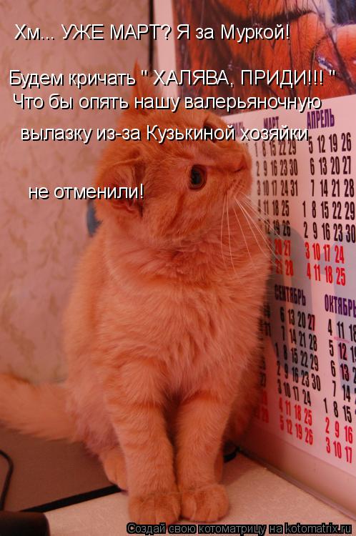 Хм... УЖЕ МАРТ? Я за Муркой! Будем кричать " ХАЛЯВА, ПРИДИ!!! " Что бы опять нашу валерьяночную вылаз... Котоматрица: Хм... УЖЕ МАРТ? Я за Муркой! Будем кричать " ХАЛЯВА, ПРИДИ!!! " Что бы опять нашу валерьяночную вылазку из-за Кузькиной хозяйки не отменили!