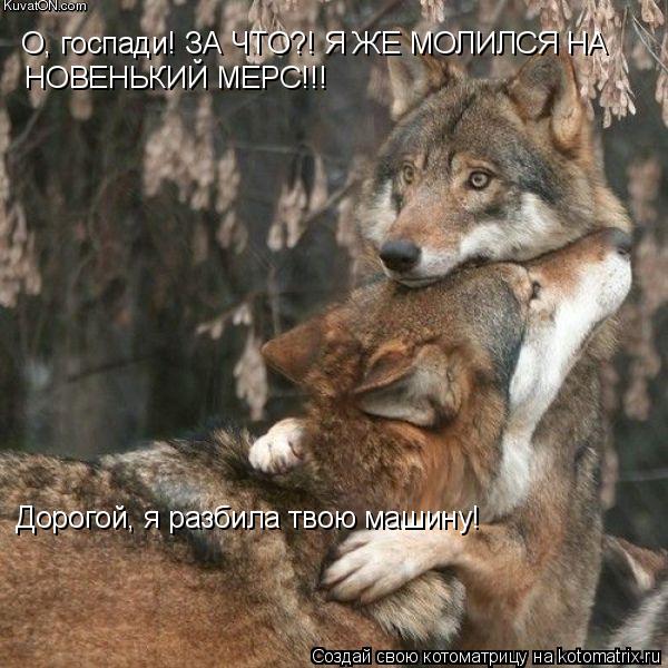 Дорогой, я разбила твою машину! О, госпади! ЗА ЧТО?! Я ЖЕ МОЛИЛСЯ НА НОВЕНЬКИЙ МЕРС!!!... Котоматрица: Дорогой, я разбила твою машину! О, госпади! ЗА ЧТО?! Я ЖЕ МОЛИЛСЯ НА НОВЕНЬКИЙ МЕРС!!!