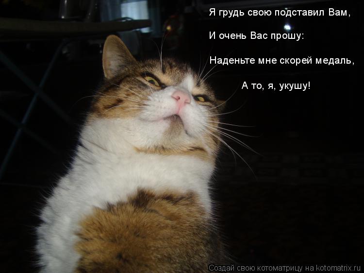 Я грудь свою подставил Вам, И очень Вас прошу: Наденьте мне скорей медаль, А то, я, укушу!... Котоматрица: Я грудь свою подставил Вам, И очень Вас прошу: Наденьте мне скорей медаль, А то, я, укушу!