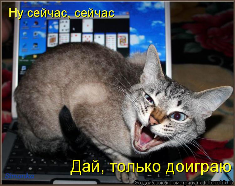 Ну сейчас, сейчас Дай, только доиграю... Котоматрица: Ну сейчас, сейчас Дай, только доиграю