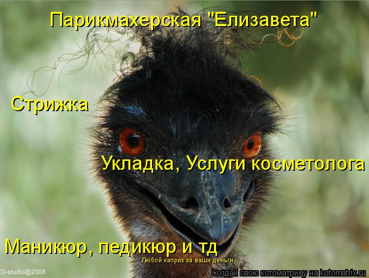 Парикмахерская "Елизавета" Стрижка Маникюр, педикюр и тд Укладка, Услуги косметолога Любой каприз за ... Котоматрица: Парикмахерская "Елизавета" Стрижка Маникюр, педикюр и тд Укладка, Услуги косметолога Любой каприз за ваши деньги