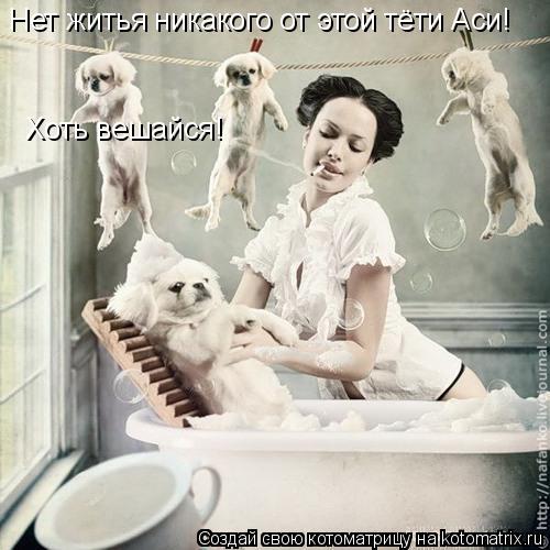 Хоть вешайся! Нет житья никакого от этой тёти Аси!... Котоматрица: Хоть вешайся! Нет житья никакого от этой тёти Аси!