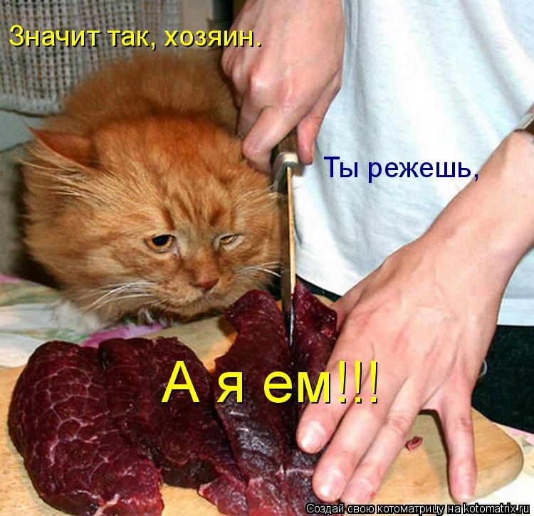 Значит так, хозяин. Ты режешь, А я ем!!!... Котоматрица: Значит так, хозяин. Ты режешь, А я ем!!!