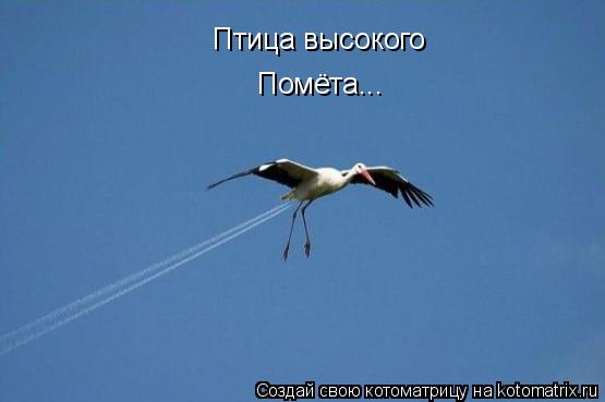 Птица высокого Помёта...... Котоматрица: Птица высокого Помёта...