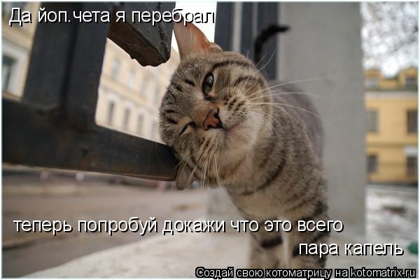 Да йоп.чета я перебрал теперь попробуй докажи что это всего пара капель... Котоматрица: Да йоп.чета я перебрал теперь попробуй докажи что это всего пара капель