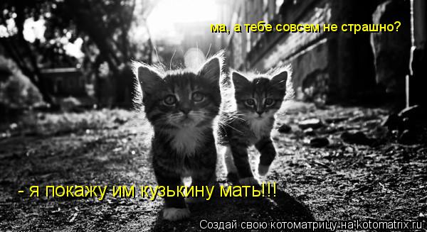 ма, а тебе совсем не страшно? - я покажу им кузькину мать!!!... Котоматрица: ма, а тебе совсем не страшно? - я покажу им кузькину мать!!!