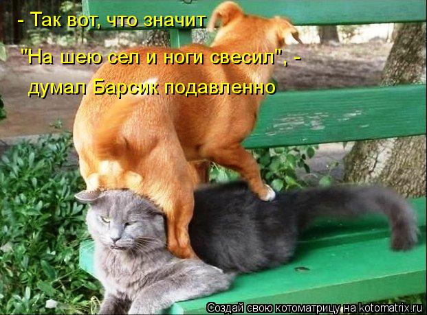 - Так вот, что значит "На шею сел и ноги свесил", - думал Барсик подавленно... Котоматрица: - Так вот, что значит "На шею сел и ноги свесил", - думал Барсик подавленно