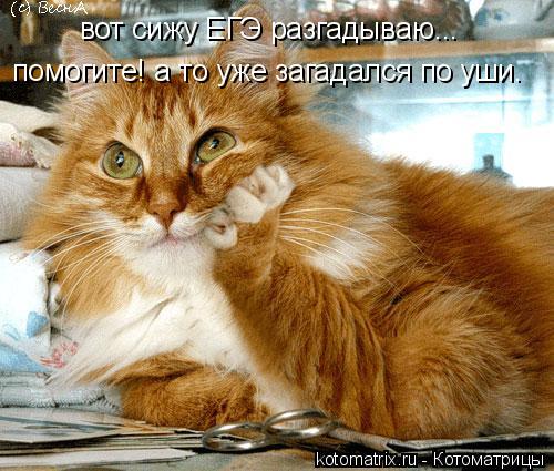 вот сижу ЕГЭ разгадываю... помогите! а то уже загадался по уши.... Котоматрица: вот сижу ЕГЭ разгадываю... помогите! а то уже загадался по уши.