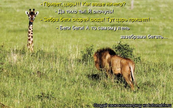 - Да тихо ты! Я охочусь! - Привет, царь!!! Как ваше ничего? - Зебра беги скорей сюда! Тут царь пришел... Котоматрица: - Да тихо ты! Я охочусь! - Привет, царь!!! Как ваше ничего? - Зебра беги скорей сюда! Тут царь пришел! - Беги беги! А то самому лень зазебрами бегат