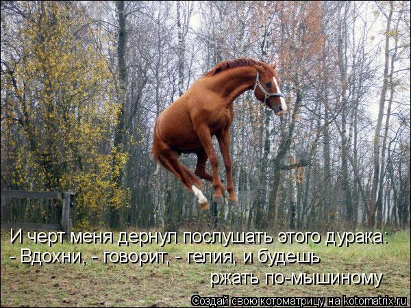 И черт меня дернул послушать этого дурака: - Вдохни, - говорит, - гелия, и будешь ржать по-мышиному... Котоматрица: И черт меня дернул послушать этого дурака: - Вдохни, - говорит, - гелия, и будешь ржать по-мышиному