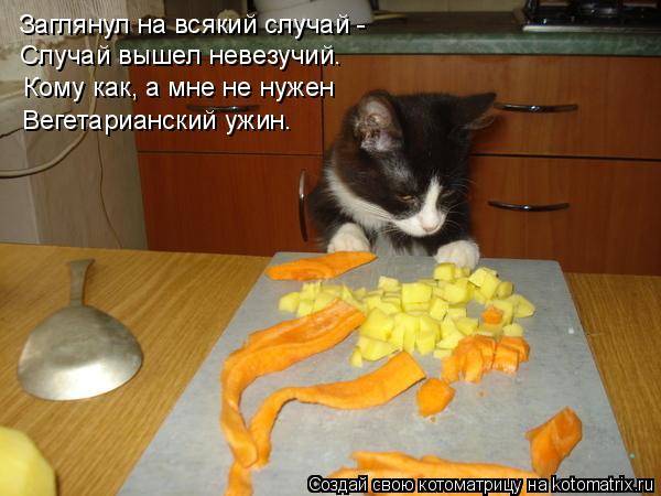 Заглянул на всякий случай - Случай вышел невезучий. Кому как, а мне не нужен Вегетарианский ужин.... Котоматрица: Заглянул на всякий случай - Случай вышел невезучий. Кому как, а мне не нужен Вегетарианский ужин.