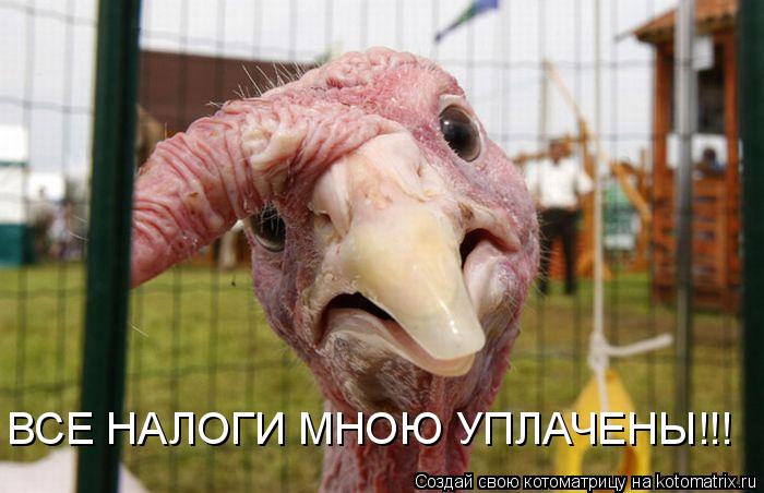 ВСЕ НАЛОГИ МНОЮ УПЛАЧЕНЫ!!!... Котоматрица: ВСЕ НАЛОГИ МНОЮ УПЛАЧЕНЫ!!!