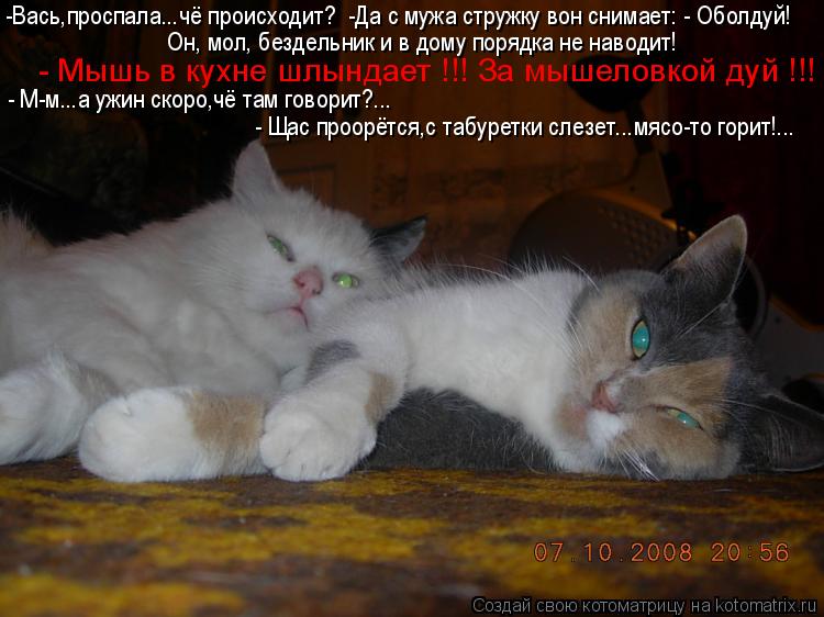 -Вась,проспала...чё происходит? -Да с мужа стружку вон снимает: - Оболдуй! Он, мол, бездельник и в д... Котоматрица: -Вась,проспала...чё происходит? -Да с мужа стружку вон снимает: - Оболдуй! Он, мол, бездельник и в дому порядка не наводит! - Мышь в кухне шлында