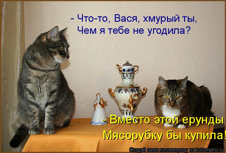 - Что-то, Вася, хмурый ты, Чем я тебе не угодила? - Вместо этой ерунды Мясорубку бы купила!... Котоматрица: - Что-то, Вася, хмурый ты, Чем я тебе не угодила? - Вместо этой ерунды Мясорубку бы купила!
