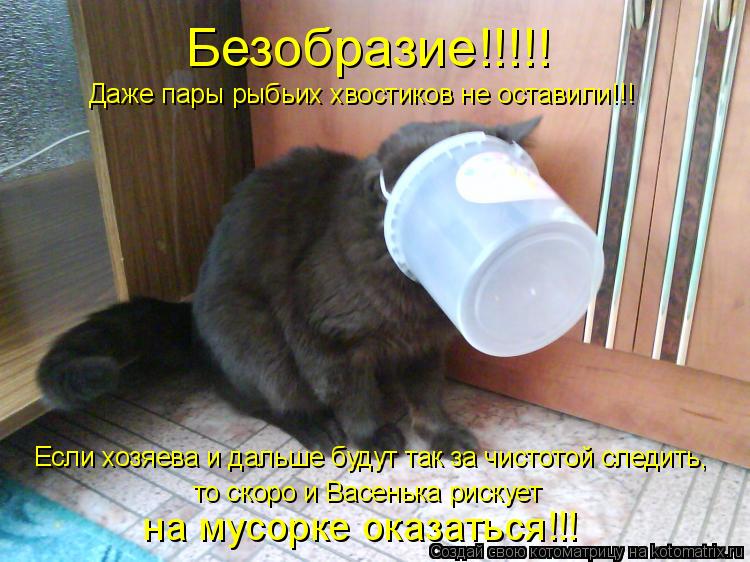 Безобразие!!!!! Даже пары рыбьих хвостиков не оставили!!! Если хозяева и дальше будут так за чистотой... Котоматрица: Безобразие!!!!! Даже пары рыбьих хвостиков не оставили!!! Если хозяева и дальше будут так за чистотой следить, то скоро и Васенька рискует на м