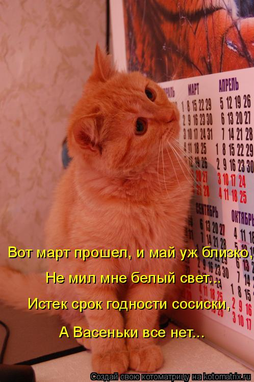 Вот март прошел, и май уж близко, Не мил мне белый свет... Истек срок годности сосиски, А Васеньки вс... Котоматрица: Вот март прошел, и май уж близко, Не мил мне белый свет... Истек срок годности сосиски, А Васеньки все нет...