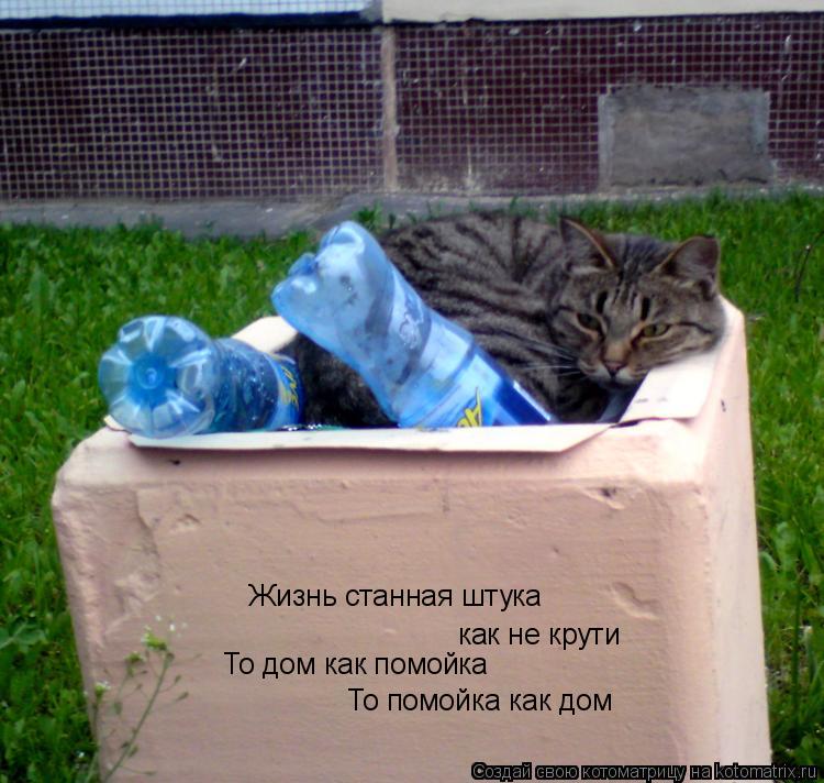 Жизнь станная штука как не крути То дом как помойка То помойка как дом... Котоматрица: Жизнь станная штука как не крути То дом как помойка То помойка как дом