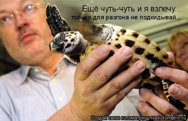 Ещё чуть-чуть и я взлечу... только для разгона не подкидывай...... Котоматрица: Ещё чуть-чуть и я взлечу... только для разгона не подкидывай...