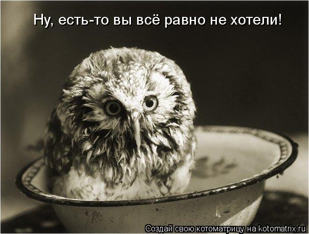 Ну, есть-то вы всё равно не хотели!... Котоматрица: Ну, есть-то вы всё равно не хотели!