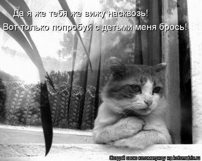Да я же тебя же вижу насквозь! Вот только попробуй с детьми меня брось!... Котоматрица: Да я же тебя же вижу насквозь! Вот только попробуй с детьми меня брось!