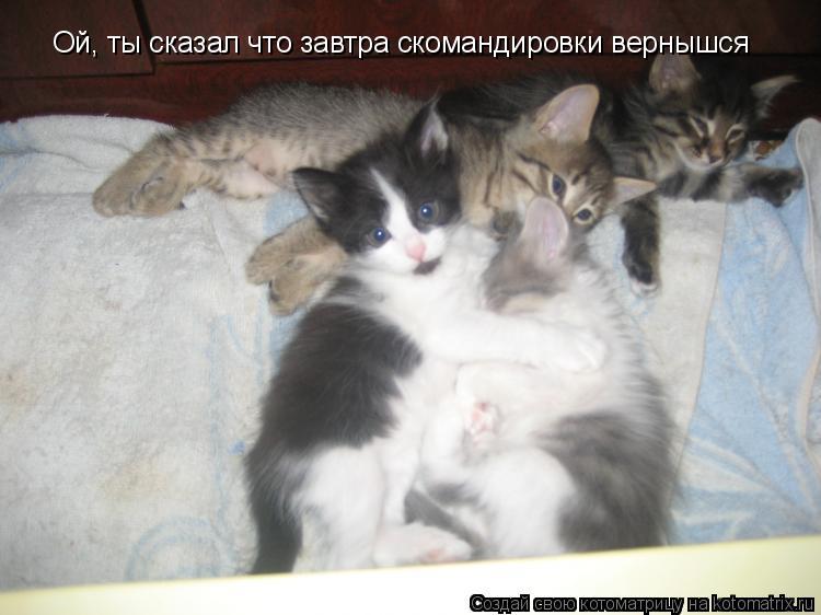 Ой, ты сказал что завтра скомандировки вернышся... Котоматрица: Ой, ты сказал что завтра скомандировки вернышся