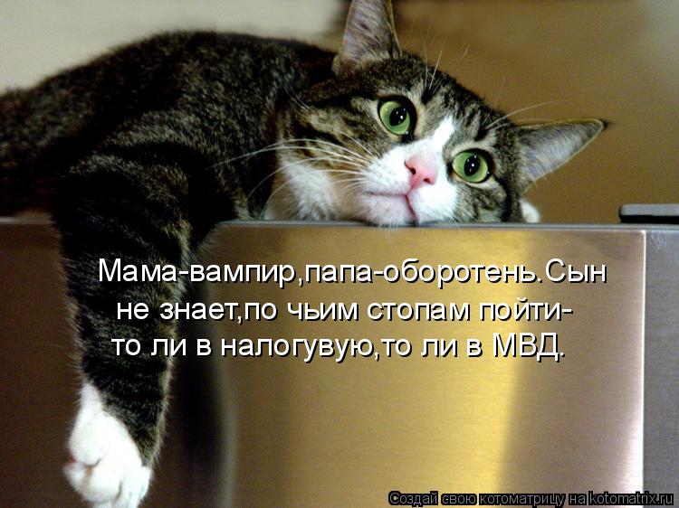 Мама-вампир,папа-оборотень.Сын не знает,по чьим стопам пойти- то ли в налогувую,то ли в МВД.... Котоматрица: Мама-вампир,папа-оборотень.Сын не знает,по чьим стопам пойти- то ли в налогувую,то ли в МВД.