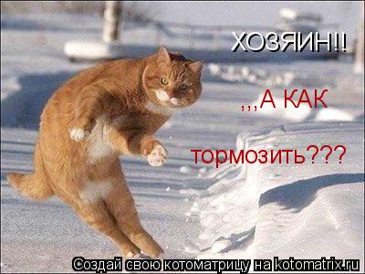 ХОЗЯИН!! ,,,А КАК тормозить???... Котоматрица: ХОЗЯИН!! ,,,А КАК тормозить???