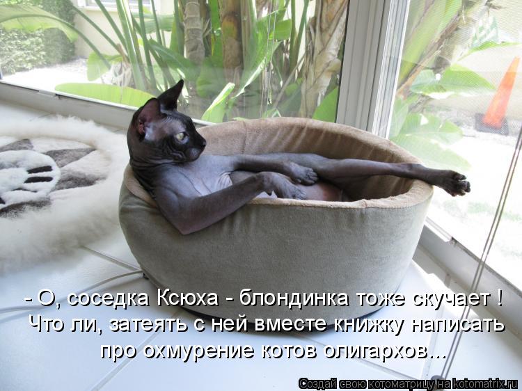 - О, соседка Ксюха - блондинка тоже скучает ! Что ли, затеять с ней вместе книжку написать про охмуре... Котоматрица: - О, соседка Ксюха - блондинка тоже скучает ! Что ли, затеять с ней вместе книжку написать про охмурение котов олигархов...