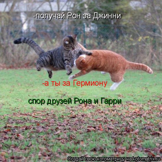 -получай Рон за Джинни -а ты за Гермиону спор друзей Рона и Гарри... Котоматрица: -получай Рон за Джинни -а ты за Гермиону спор друзей Рона и Гарри