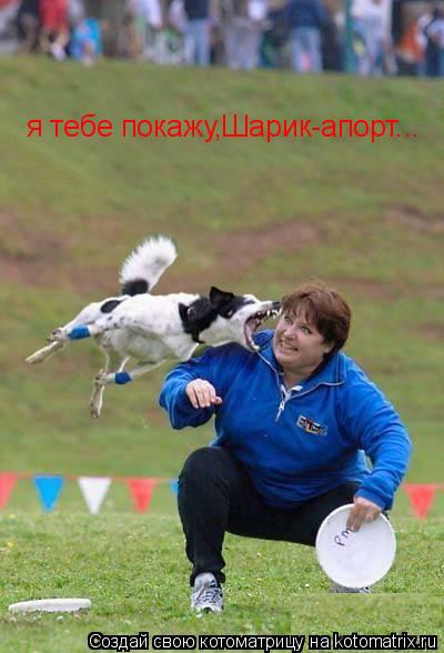 я тебе покажу,Шарик-апорт...... Котоматрица: я тебе покажу,Шарик-апорт...