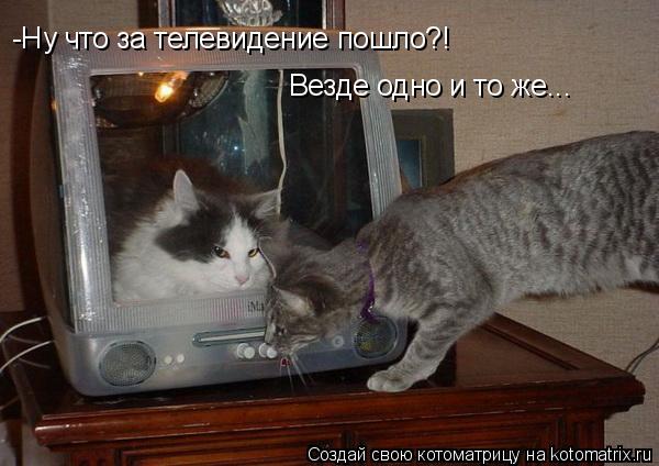 -Ну что за телевидение пошло?! Везде одно и то же...... Котоматрица: -Ну что за телевидение пошло?! Везде одно и то же...