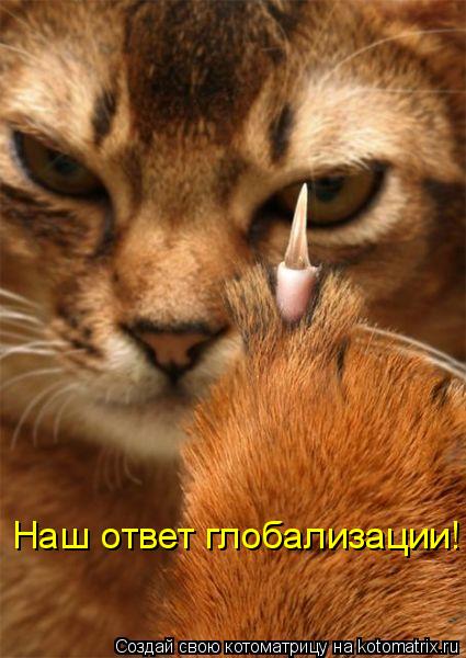 Наш ответ глобализации!... Котоматрица: Наш ответ глобализации!