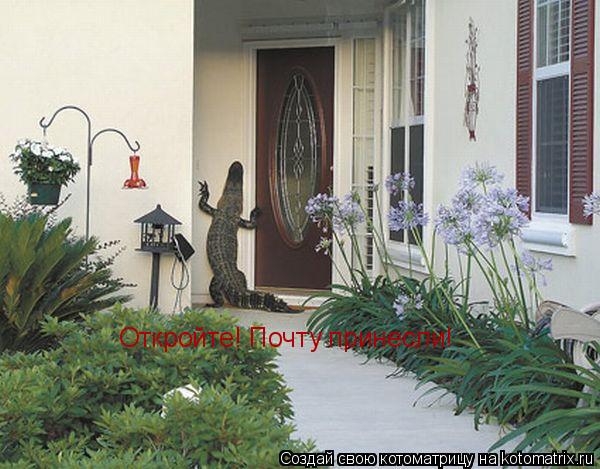 Котоматрица: Откройте! Почту принесли!