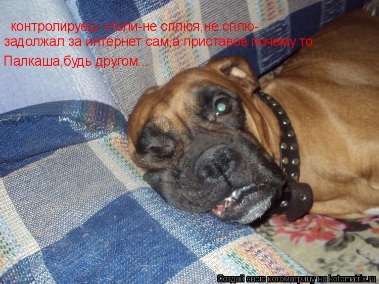 контролируеш чтоли-не сплюя,не сплю- задолжал за интернет сам,а приставов почему то Палкаша,будь друг... Котоматрица: контролируеш чтоли-не сплюя,не сплю- задолжал за интернет сам,а приставов почему то Палкаша,будь другом...