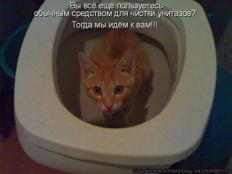 Вы всё ещё пользуетесь обычным средством для чистки унитазов? Тогда мы идём к вам!!!... Котоматрица: Вы всё ещё пользуетесь обычным средством для чистки унитазов? Тогда мы идём к вам!!!