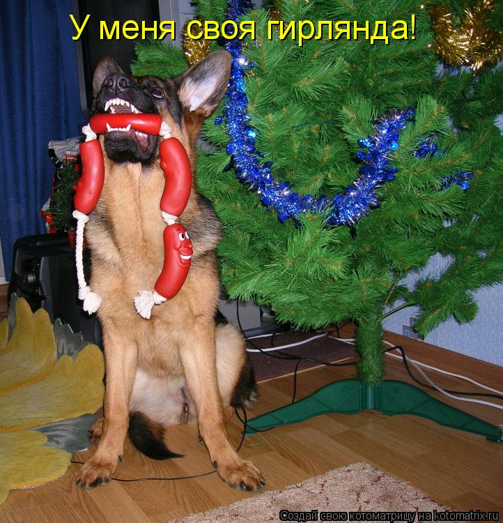У меня своя гирлянда!... Котоматрица: У меня своя гирлянда!