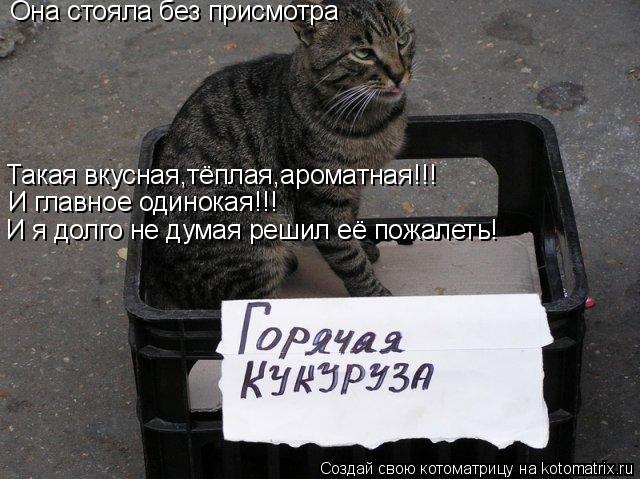 Она стояла без присмотра Такая вкусная,тёплая,ароматная!!! И главное одинокая!!! И я долго не думая р... Котоматрица: Она стояла без присмотра Такая вкусная,тёплая,ароматная!!! И главное одинокая!!! И я долго не думая решил её пожалеть!