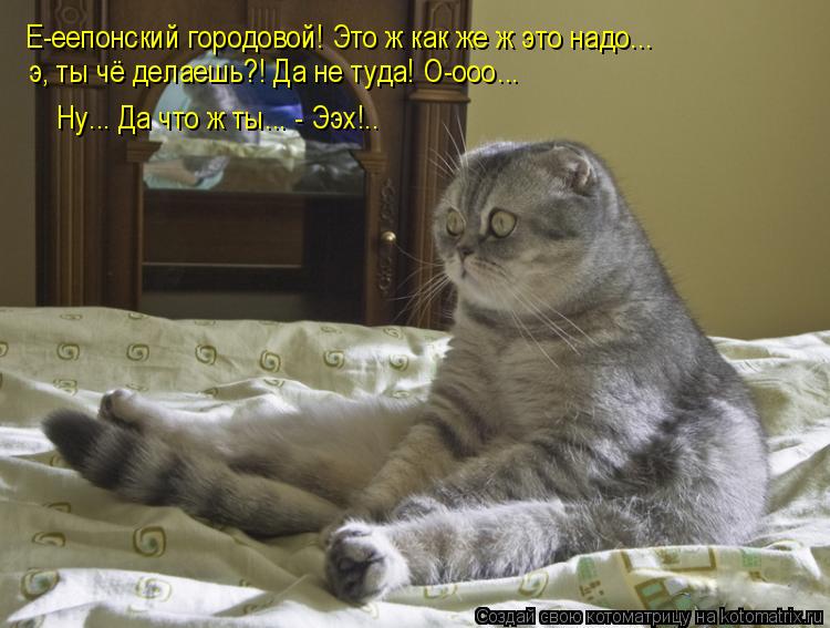 Е-еепонский городовой! Это ж как же ж это надо... э, ты чё делаешь?! Да не туда! О-ооо... Ну... Да чт... Котоматрица: Е-еепонский городовой! Это ж как же ж это надо... э, ты чё делаешь?! Да не туда! О-ооо... Ну... Да что ж ты... - Ээх!..