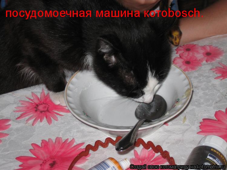 посудомоечная машина котоbosch.... Котоматрица: посудомоечная машина котоbosch.