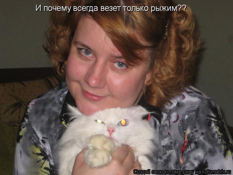 И почему всегда везет только рыжим??... Котоматрица: И почему всегда везет только рыжим??