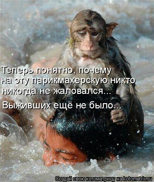 Теперь понятно, почему на эту парикмахерскую никто никогда не жаловался... Выживших ещё не было...... Котоматрица: Теперь понятно, почему на эту парикмахерскую никто никогда не жаловался... Выживших ещё не было...