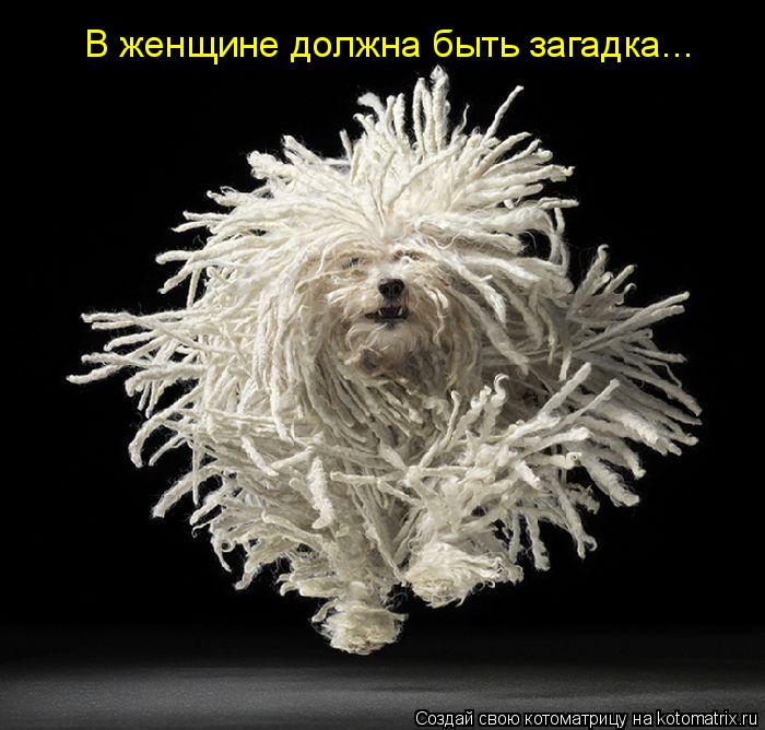 В женщине должна быть загадка...... Котоматрица: В женщине должна быть загадка...