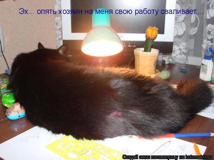Эх... опять хозяин на меня свою работу сваливает....... Котоматрица: Эх... опять хозяин на меня свою работу сваливает....